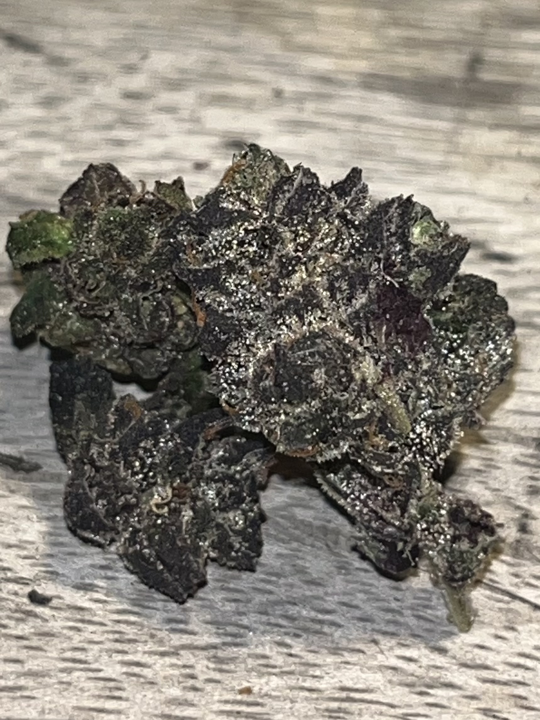 Blueberry