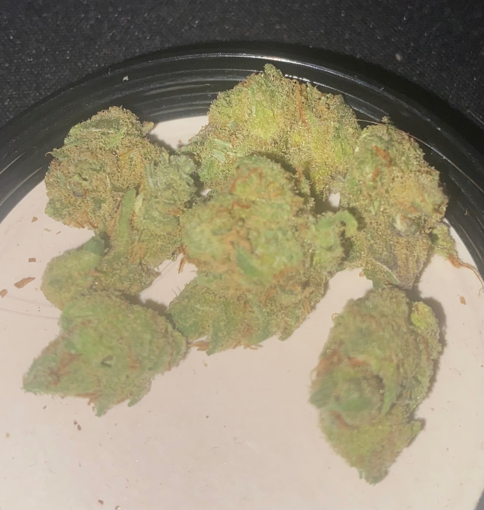 Amnesia Mac Ganja
