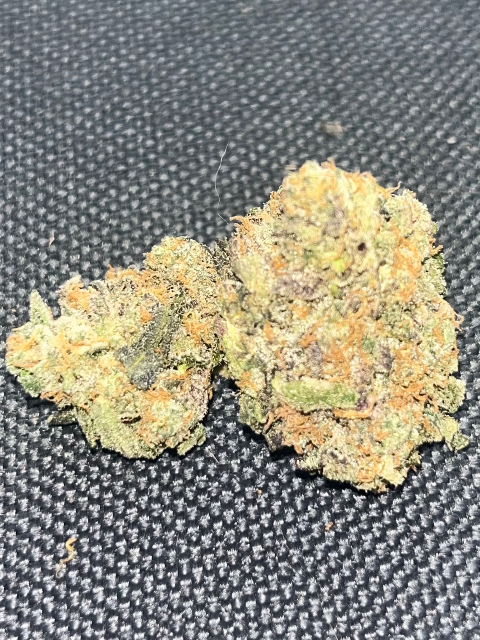 GMO Cookies