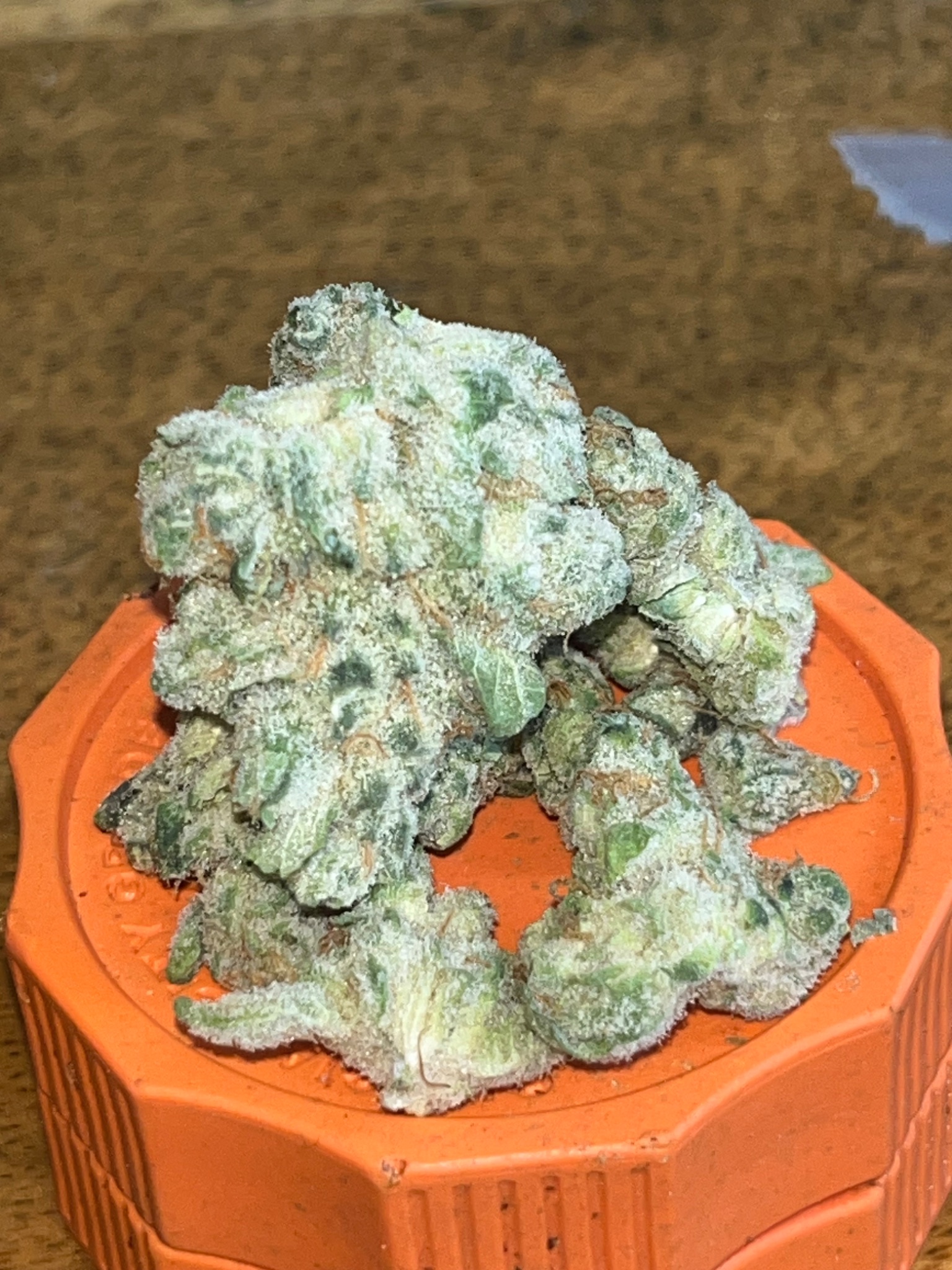 Skunk X Animal Mints