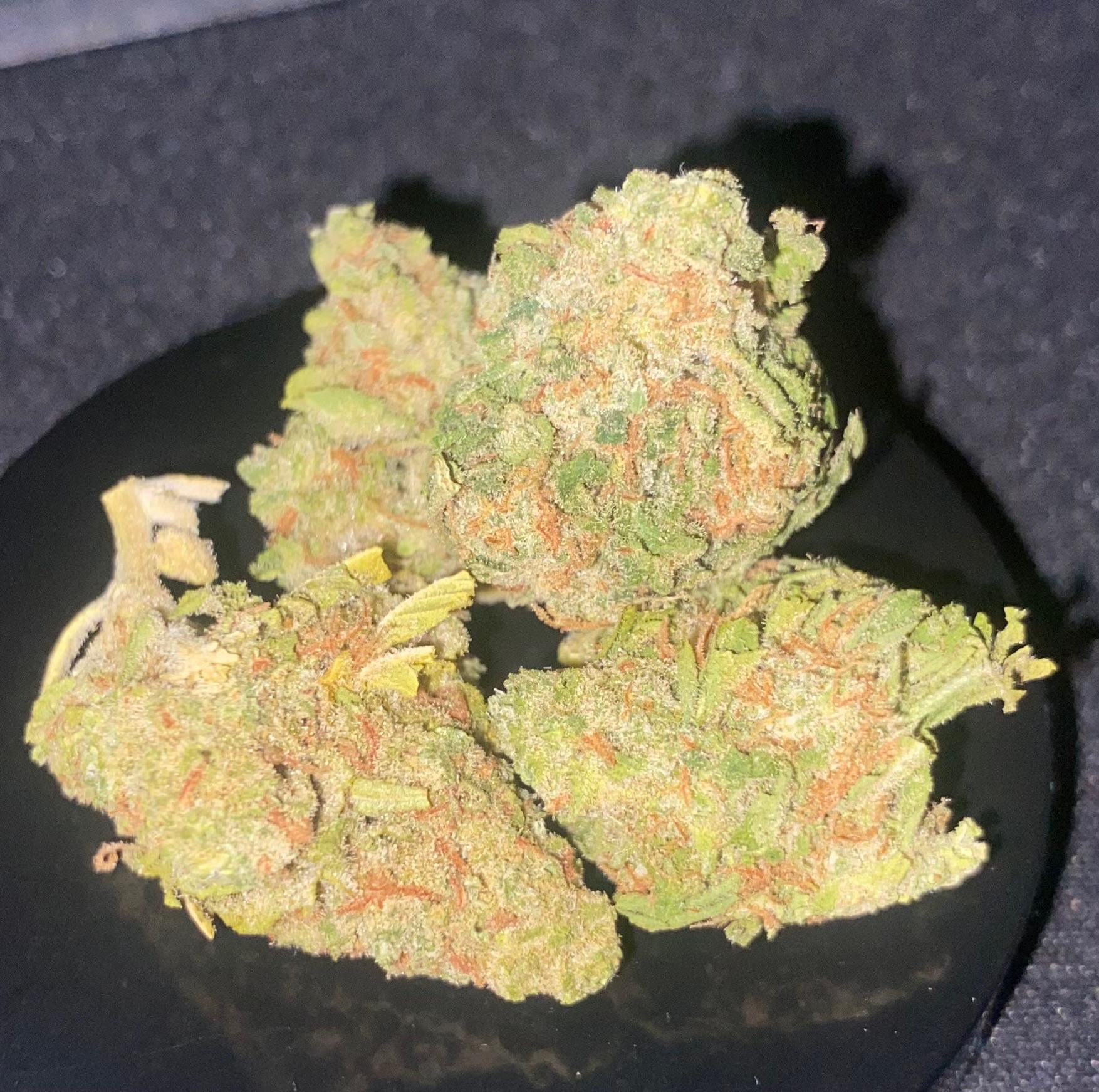BIO Sunkissed White Widow wiet experiment strain