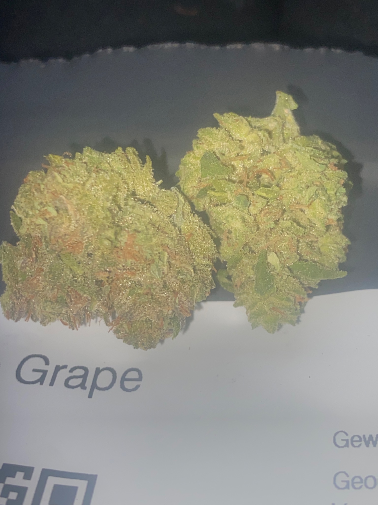 Blue Grape