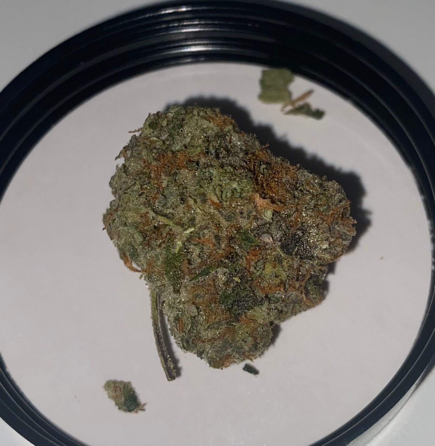 Georgia Pie - Hand Trim